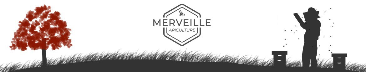 Merveille Apiculture - Miels du Périgord